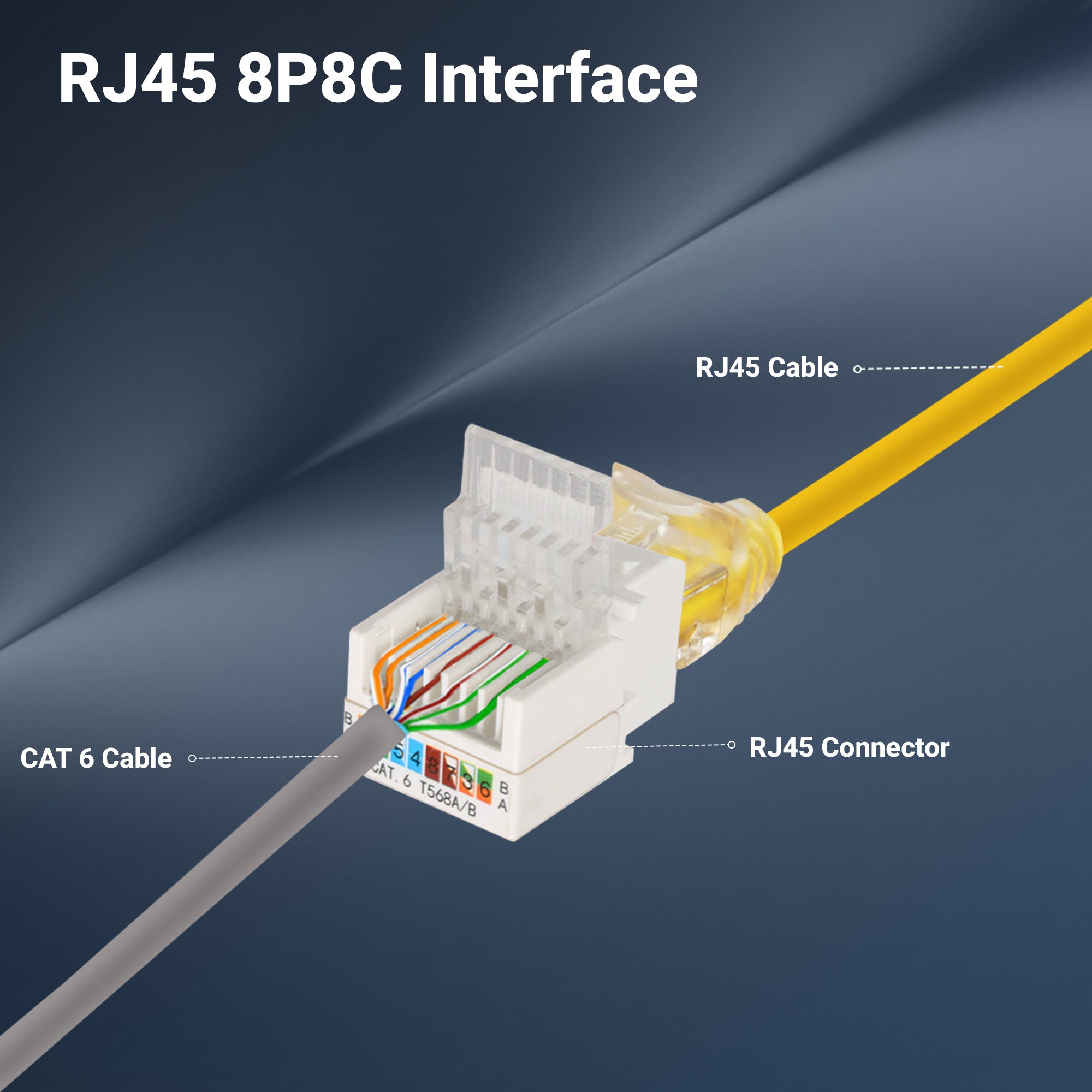 Zeb RJ45KC6B - Image 2